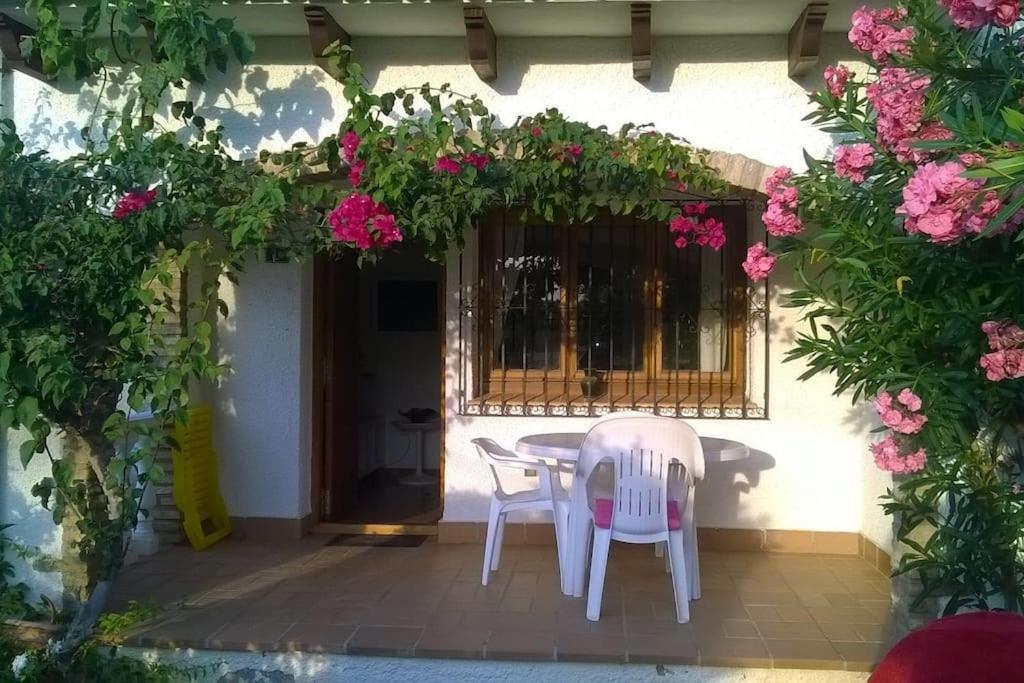 Apartament Casa En Denia Con Piscina Y Jardin Zewnętrze zdjęcie