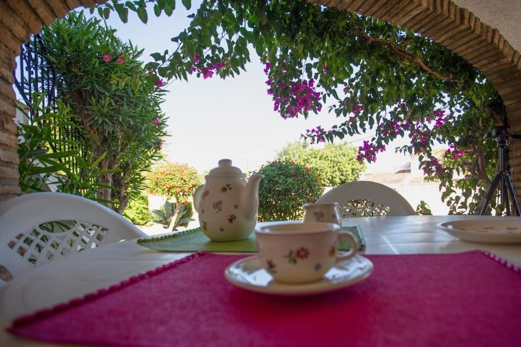 Apartament Casa En Denia Con Piscina Y Jardin Zewnętrze zdjęcie